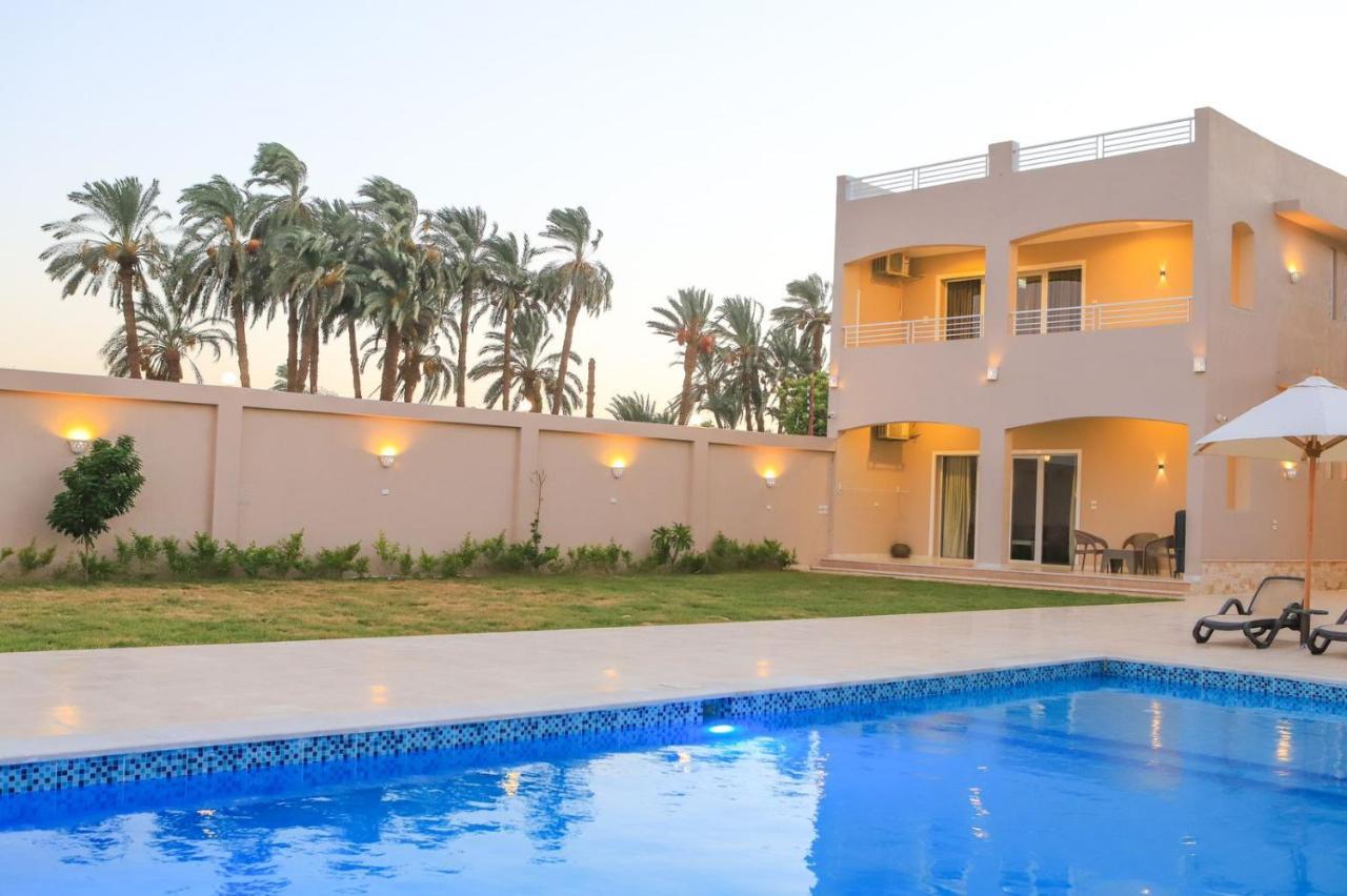 Royal Nile Villa - Pool View Apartment 1 Луксор Экстерьер фото